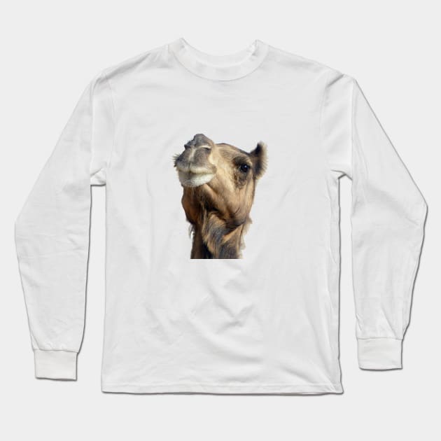 Moroccan dromedary camel Long Sleeve T-Shirt by oknoki